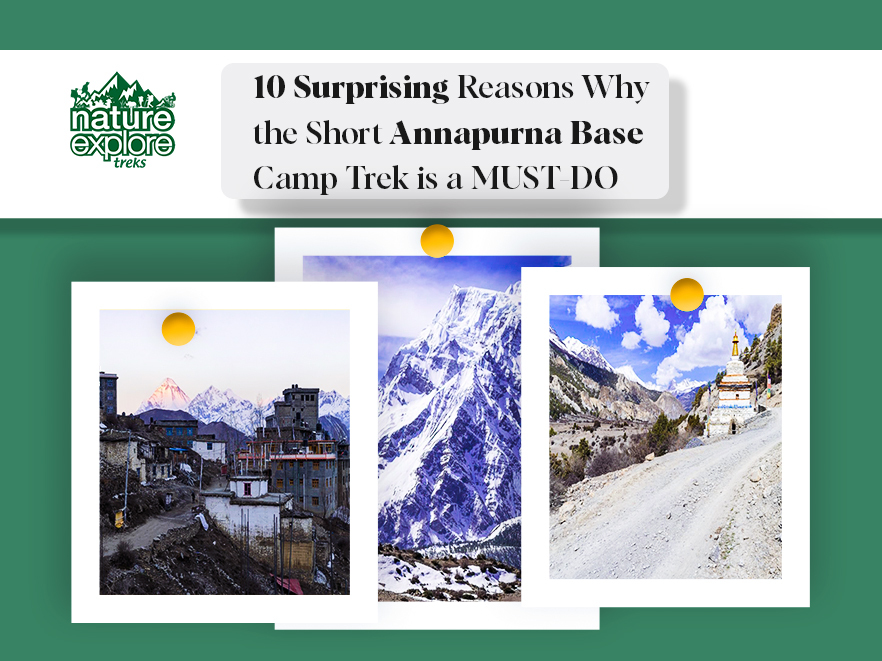10 Surprising Reasons Why the Short Annapurna Base Camp Trek is a MUST-DO
